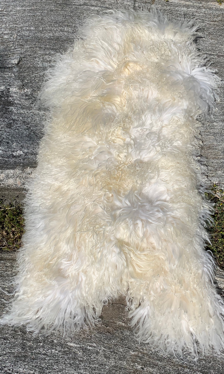 Luxurious Cream Sheepskin