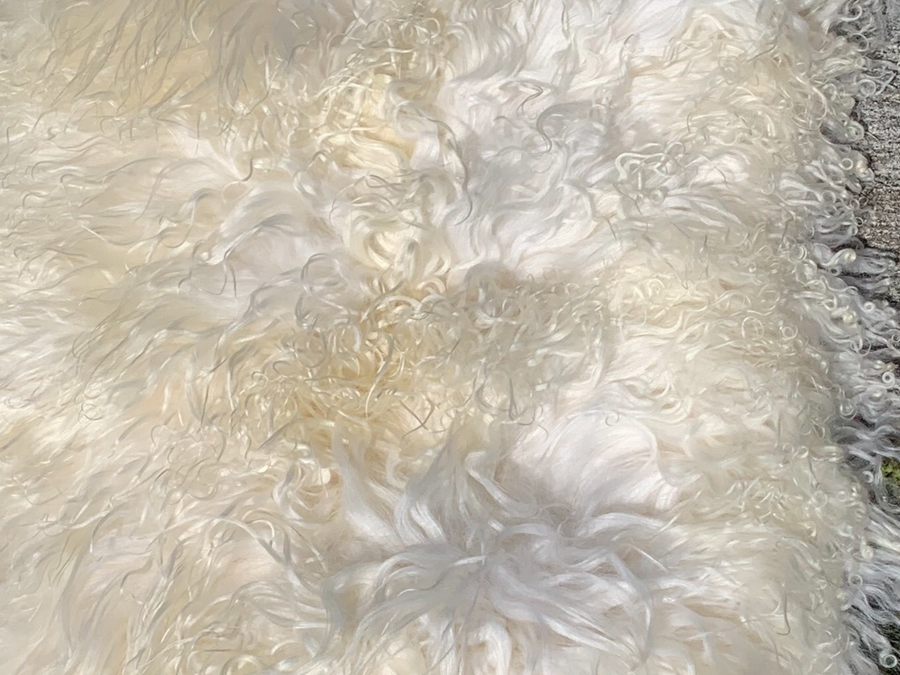 Luxurious Cream Sheepskin